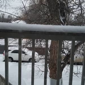 Meet your Posher, Bridget